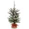 2ft. Pre-Lit Snowy Morgan Spruce Artificial Christmas Tree, Warm White LED Lights